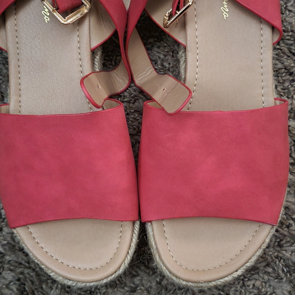 Red wedges